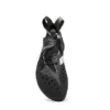 Blackbird (New) Blackbird (New)